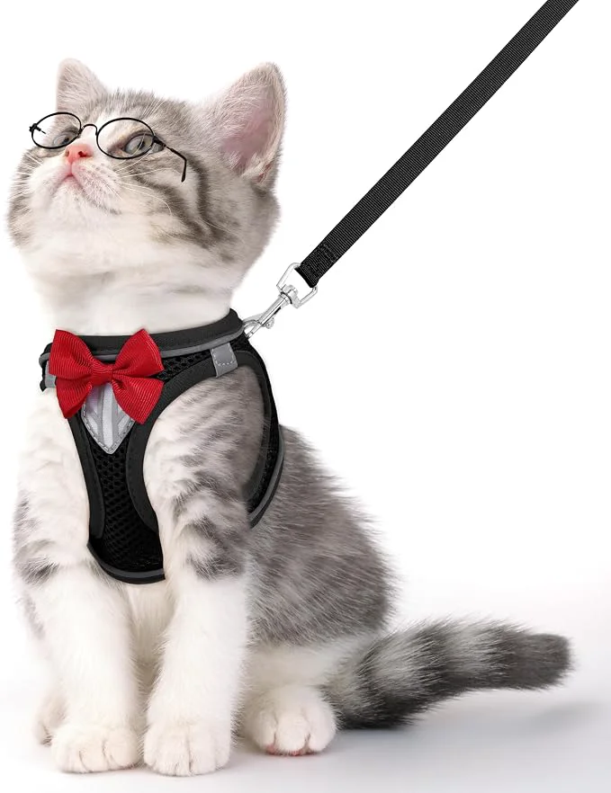 Trusted Cat Vest Harness and Leash Set for Walking Escape Proof Adjustable Kitten High-Quality