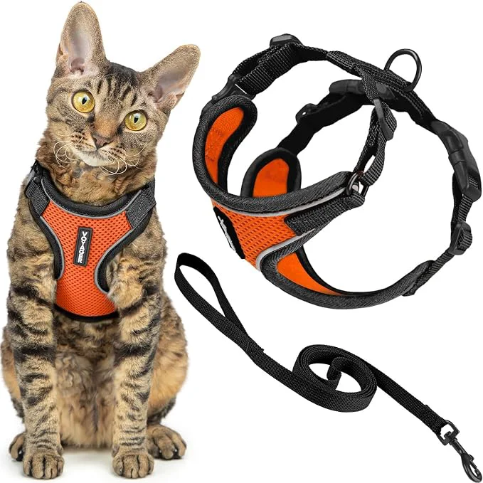 Casual Voyager Escape-Proof Step-in Lock Cat Harness 5ft Neoprene-Handle Leash Set Outstanding