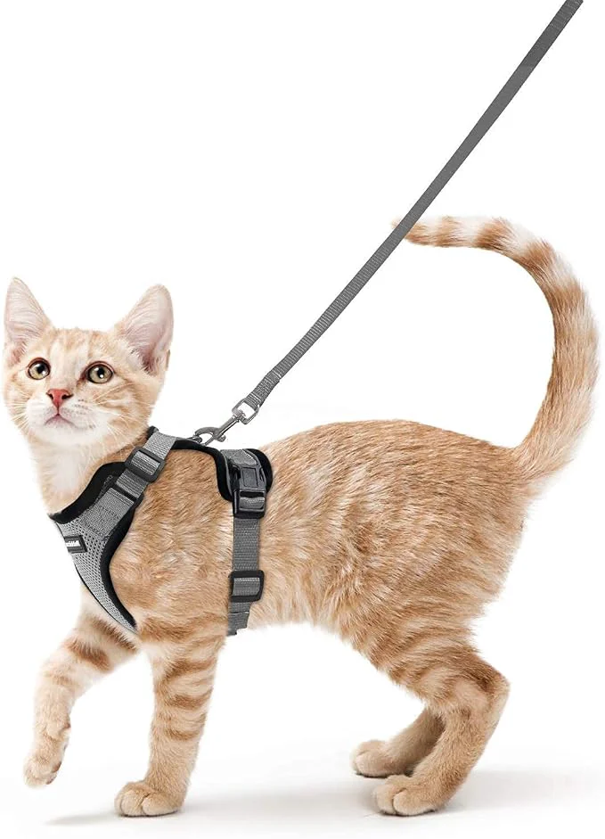 Casual rabbitgoo Cat Harness and Leash Eco-Friendly