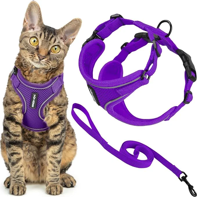 Effective Voyager Escape-Proof Step-in Lock Cat Harness 5ft Neoprene-Handle Leash Set High-End