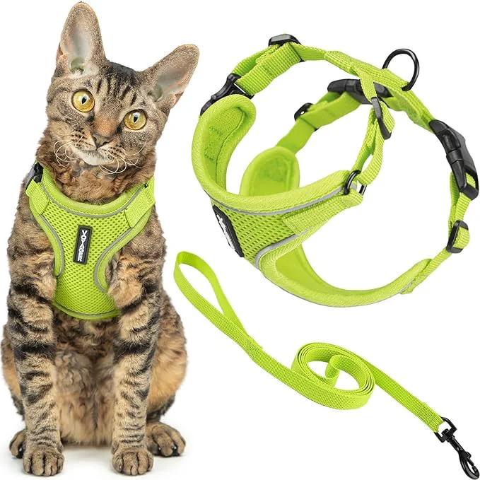 Refined Voyager Escape-Proof Step-in Lock Cat Harness 5ft Neoprene-Handle Leash Set High-Grade