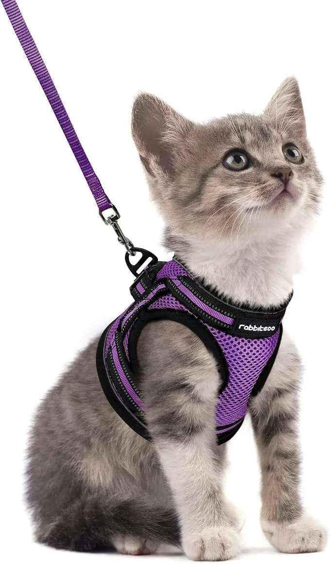 Effective rabbitgoo Cat Harness and Leash Set Enhanced