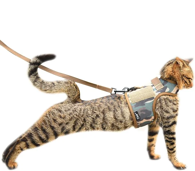Superior Tactical Kitty Harness and Leash Top-Quality