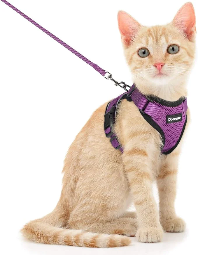 Relaxed Dooradar Cat Harness and Leash Set Escape Proof Safe Adjustable Kitten Vest Proven