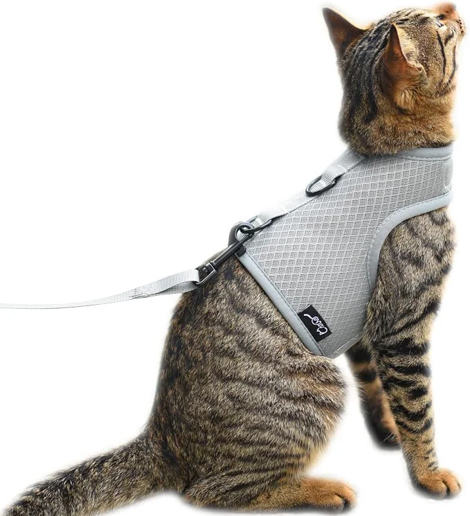 Convenient Cat Harness and Leash for Walking Escape Proof Breathable Mesh Fabric Solid Smart