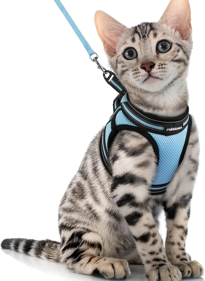 Superior rabbitgoo Cat Harness and Leash Set Easy-to-Use
