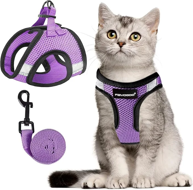 Clean FAYOGOO Cat Harness Cat Leash and Harness Set Exclusive
