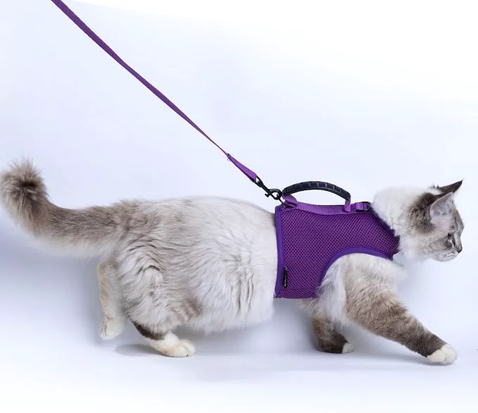 Relaxed Kitty Harness and Leash for Walking Escape Proof Breathable Mesh Fabric Practical