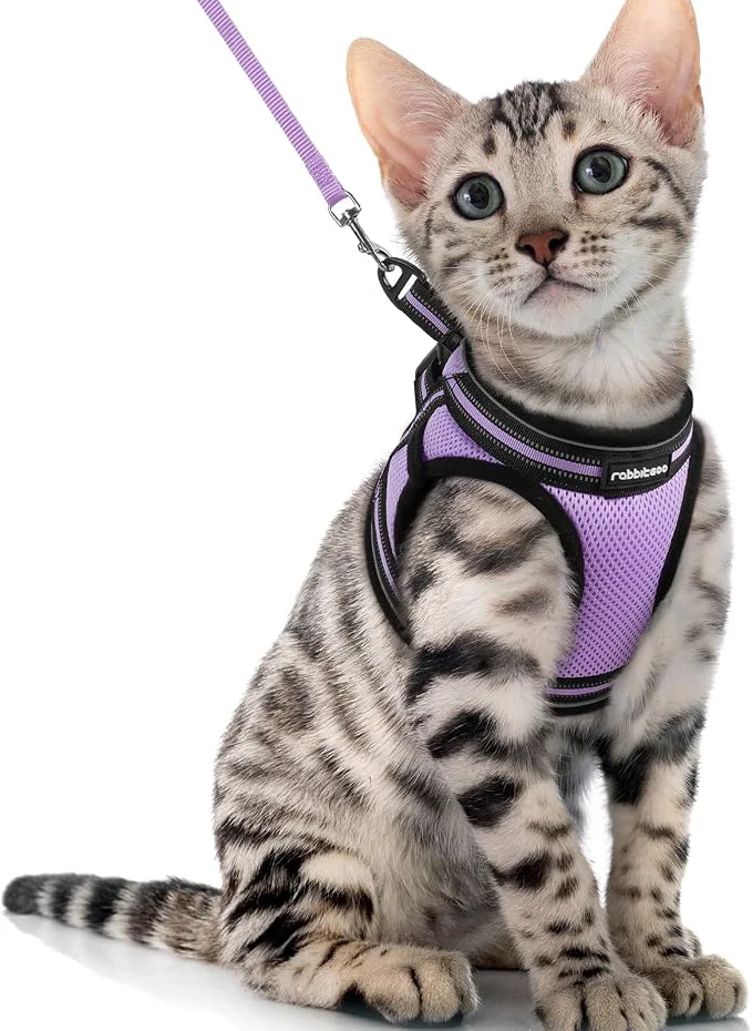 Classic rabbitgoo Cat Harness and Leash Set Clean