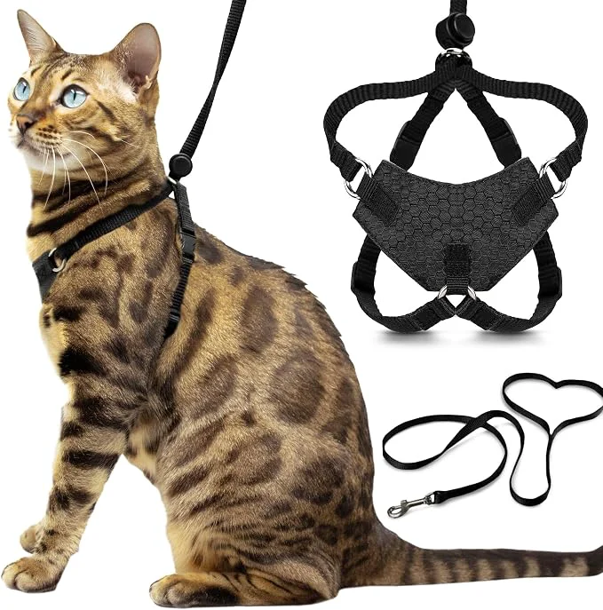 Carefully Designed Houdini™ Escape Proof Kitten Harness and Leash Set by OutdoorBengal – Black Contemporary