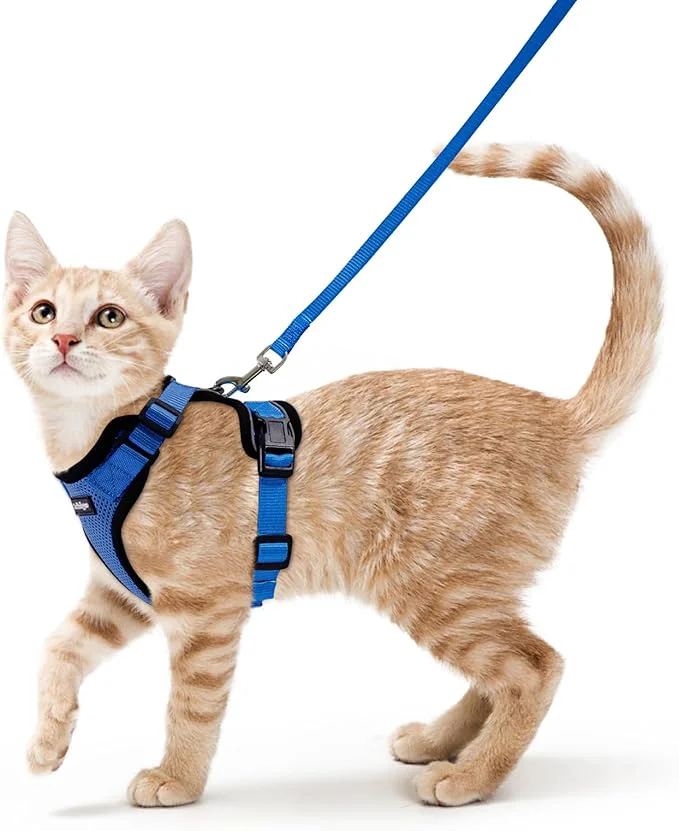 Eco-Friendly rabbitgoo Cat Harness and Leash Secure