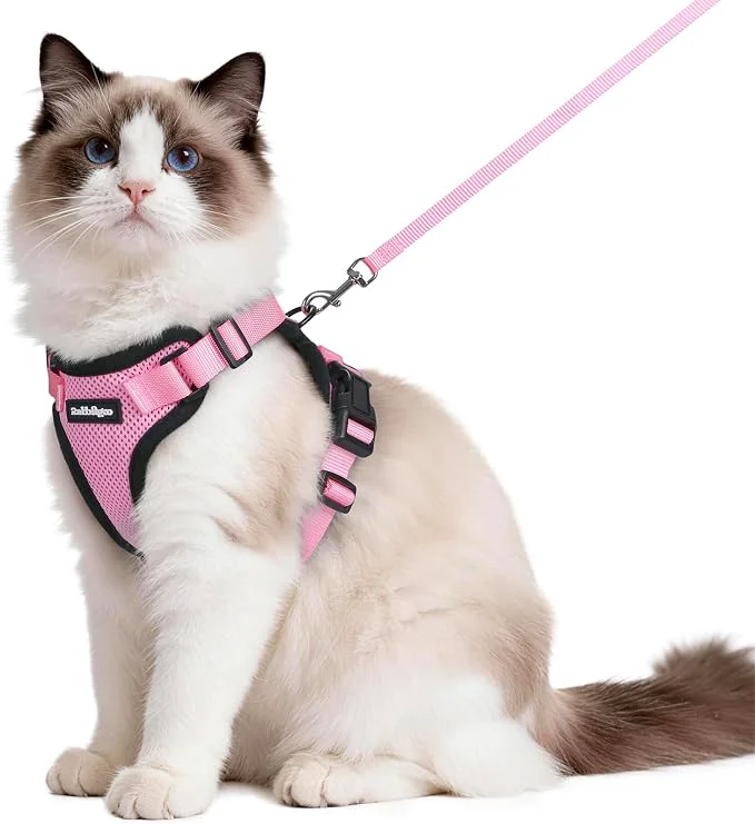 Breathable rabbitgoo Cat Harness and Leash Stylish