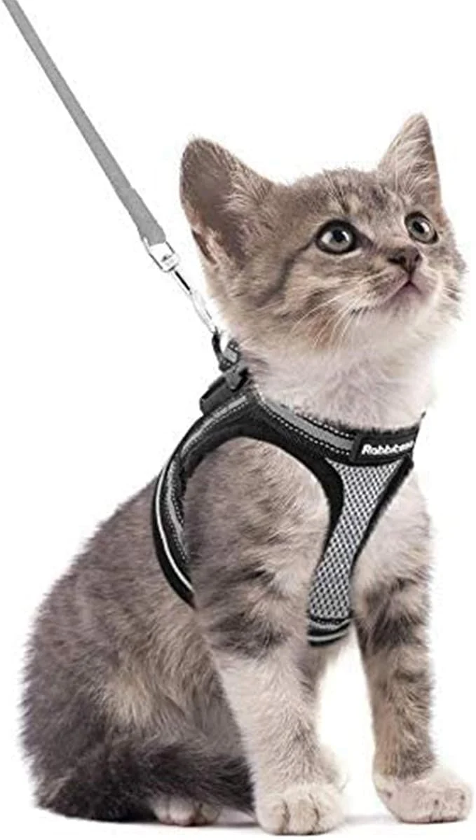 Breathable rabbitgoo Cat Harness and Leash Set Easy-to-Use