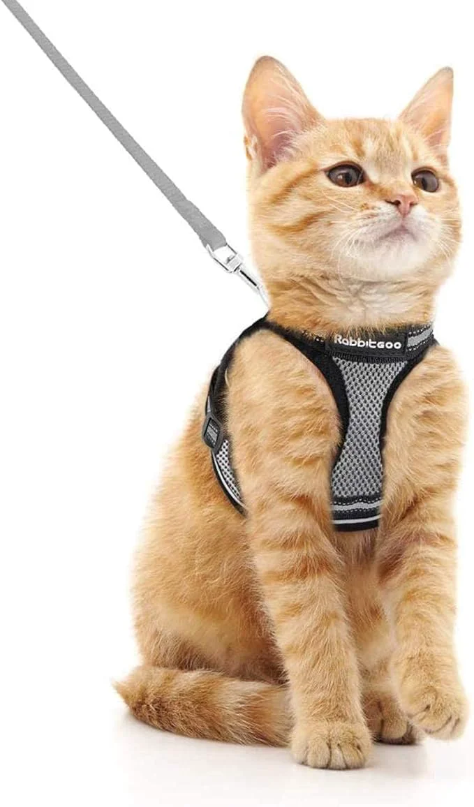Reliable rabbitgoo Cat Harness and Leash Set Comfortable