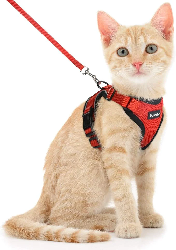 Eco-Friendly Dooradar Cat Harness and Leash Set Escape Proof Safe Adjustable Kitten Vest Powerful