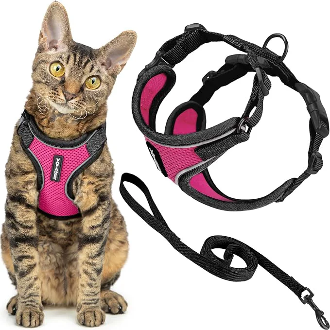 Sophisticated Voyager Escape-Proof Step-in Lock Cat Harness 5ft Neoprene-Handle Leash Set Eco-Friendly