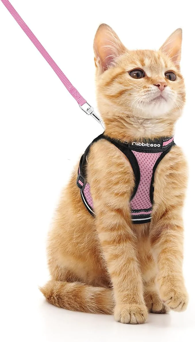 Versatile rabbitgoo Cat Harness and Leash Set Efficient