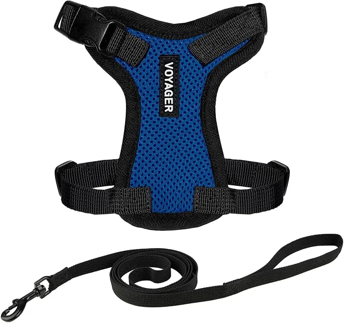 Secure Voyager Escape-Proof Step-In Lock Cat Harness 5ft Neoprene-Handle Leash Set Fine Crafted