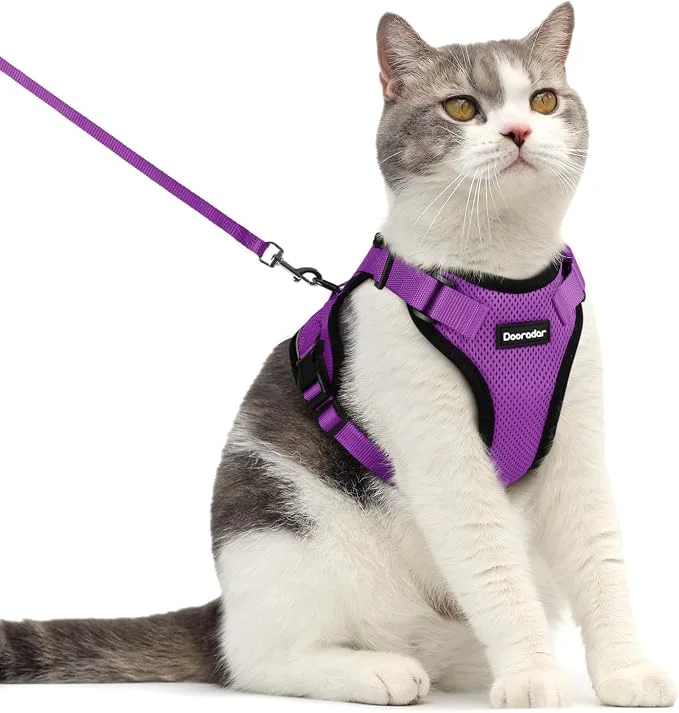 Excellent Dooradar Cat Harness and Leash Set Escape Proof Safe Adjustable Kitten Vest First-Class