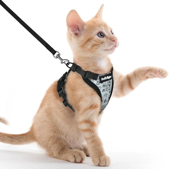 Advanced rabbitgoo Cat Harness and Leash Fashionable