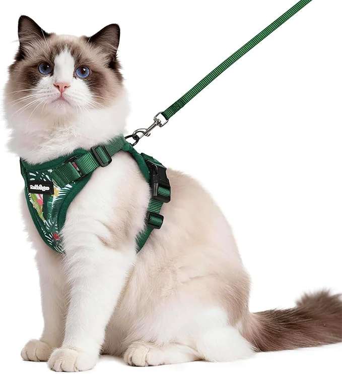 Casual rabbitgoo Cat Harness and Leash Organic