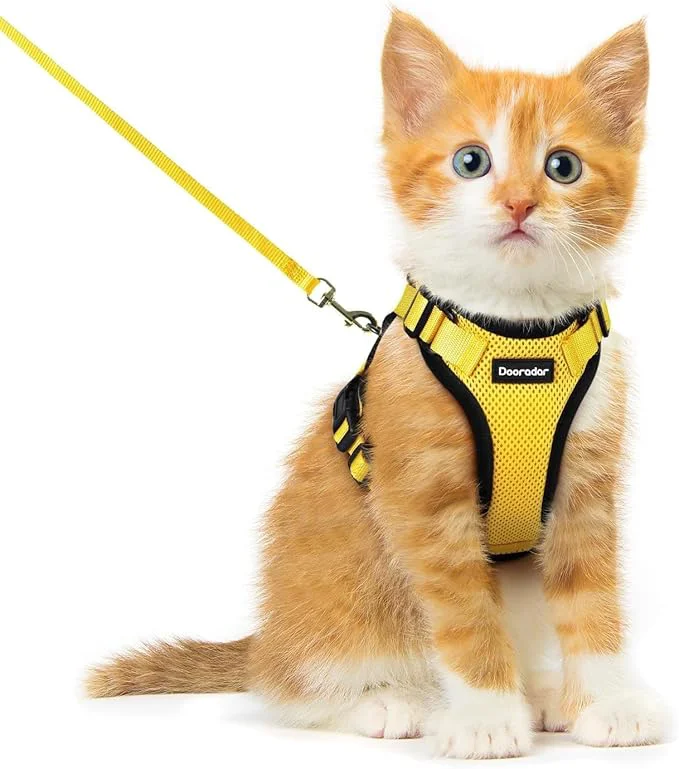 Sophisticated Dooradar Cat Harness and Leash Set Escape Proof Safe Adjustable Kitten Vest Next-Generation