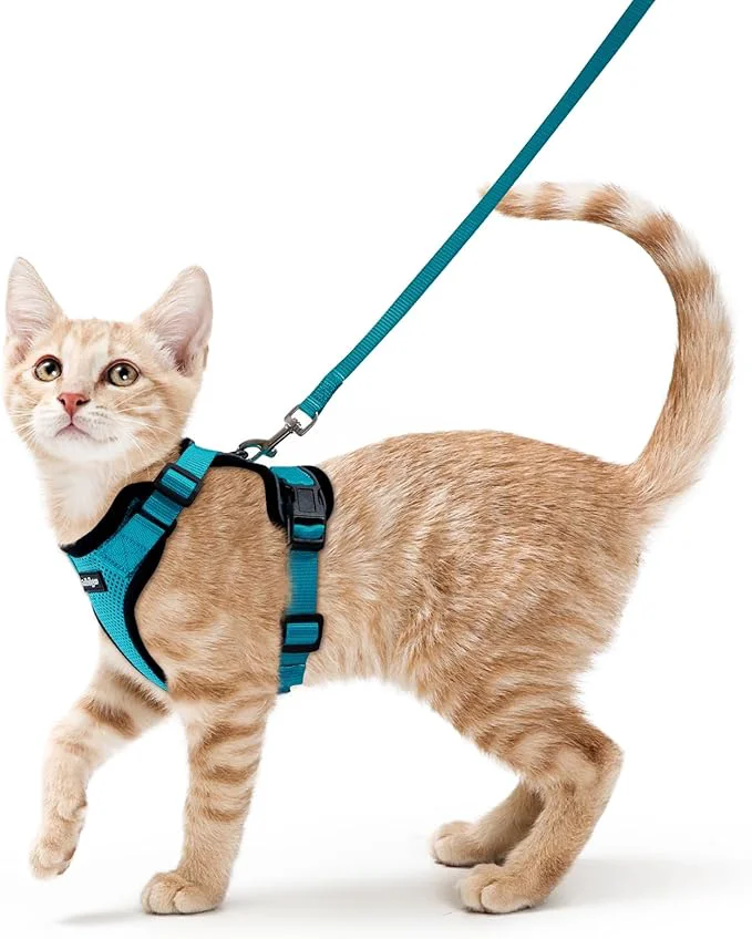 Trusted rabbitgoo Cat Harness and Leash Fashionable