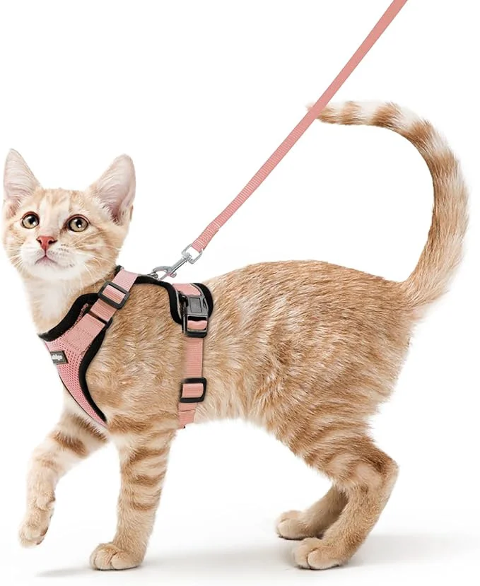 Traditional rabbitgoo Cat Harness and Leash Detailed