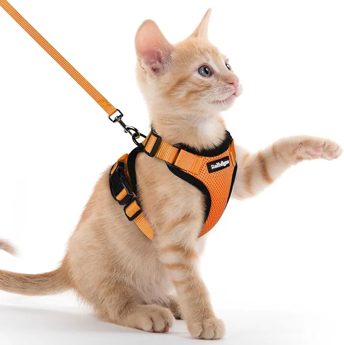 Solid rabbitgoo Cat Harness and Leash Organic