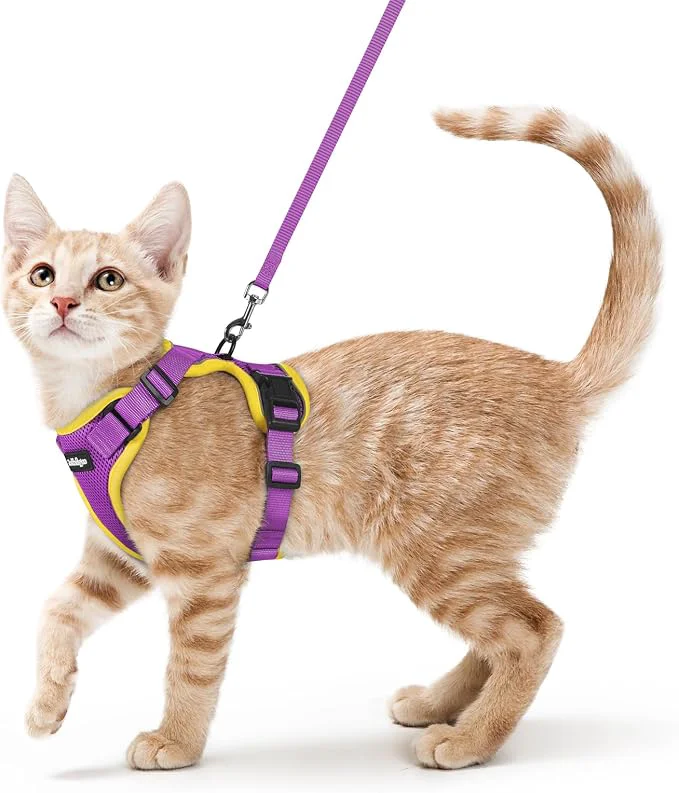 Relaxed rabbitgoo Cat Harness and Leash Fine
