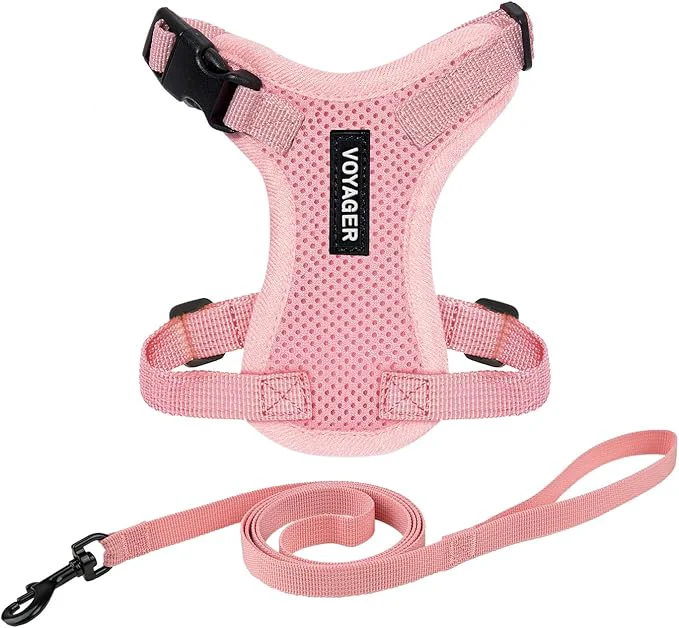 Trendy Voyager Escape-Proof Step-in Lock Cat Harness 5ft Neoprene-Handle Leash Set Quality
