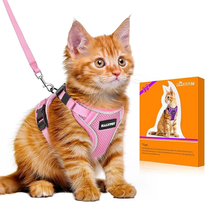 Clean Halypet Cat Harness and Leash Set Escape Proof Adjustable Cat Leash Comfortable World-Class