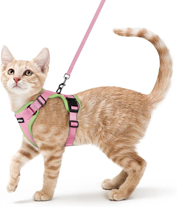 Classic rabbitgoo Cat Harness and Leash Verified