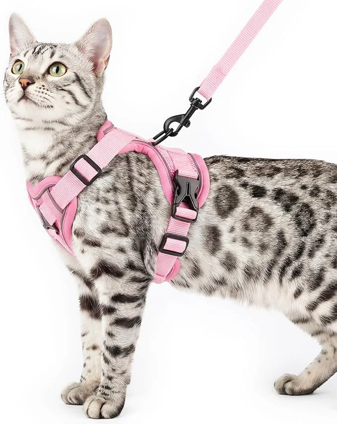 Trendy Cat Harness and Leash Set Escape Proof Tactical Large Kitten Harness Emotional Environmentally Friendly