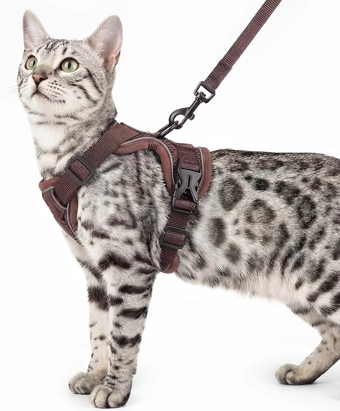 Verified Cat Harness and Leash Set Escape Proof Tactical Small Kitten Harness Emotional Eco-Friendly