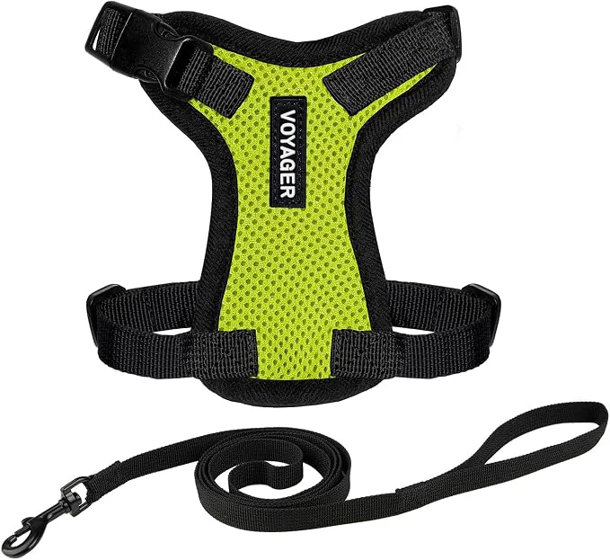 Safe Voyager Escape-Proof Step-in Lock Cat Harness 5ft Neoprene-Handle Leash Set Flexible