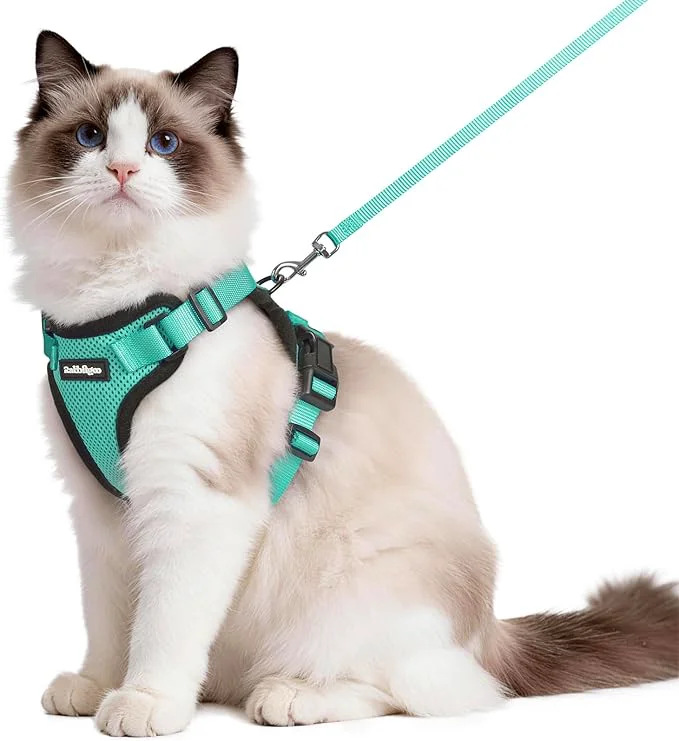 Superior rabbitgoo Cat Harness and Leash Expertly Made