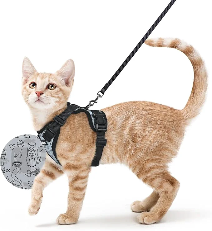 Enhanced rabbitgoo Cat Harness and Leash Unique