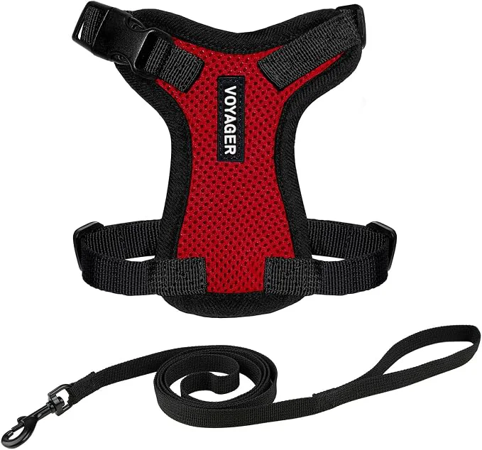 Top-Quality Voyager Escape-Proof Step-in Lock Cat Harness 5ft Neoprene-Handle Leash Set Carefully Designed