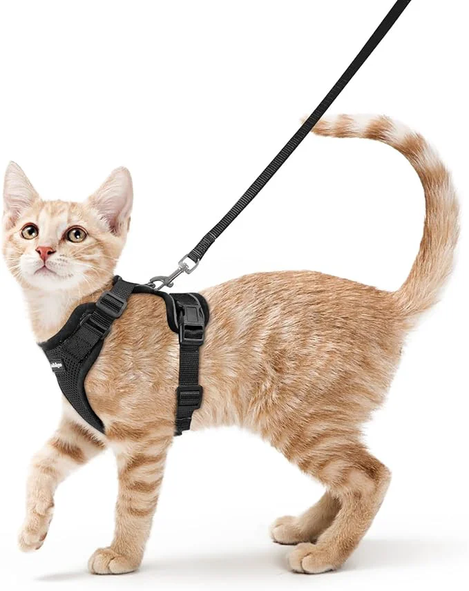 Artisan rabbitgoo Cat Harness and Leash Innovative