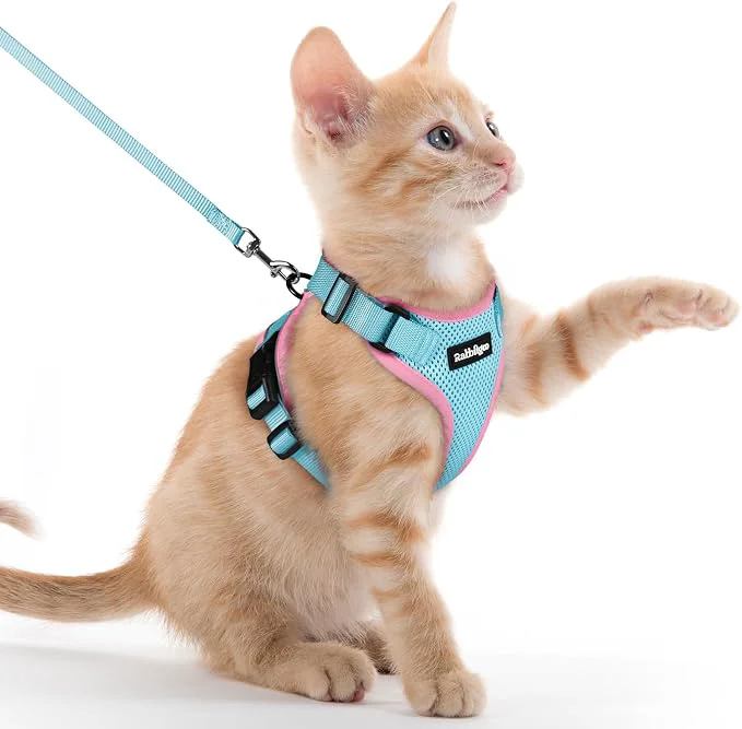 Enhanced rabbitgoo Cat Harness and Leash High-End
