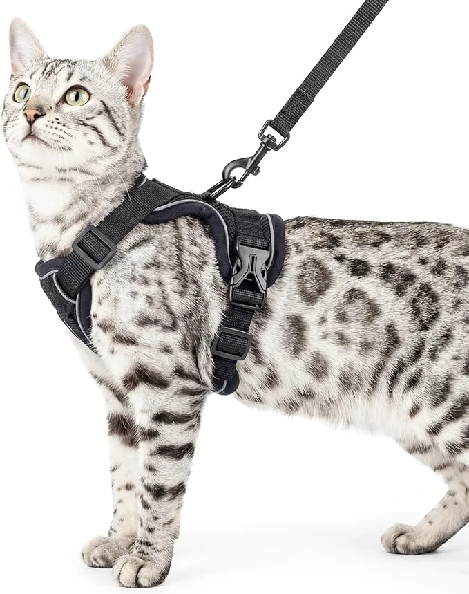 Convenient Cat Harness and Leash Set Escape Proof Tactical Medium Kitten Harness Emotional Fine