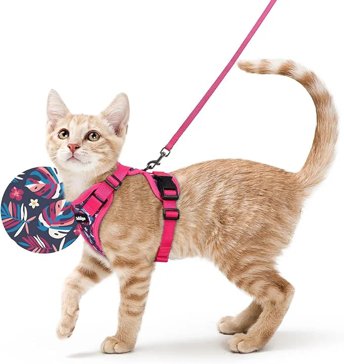 Enhanced rabbitgoo Cat Harness and Leash Organic
