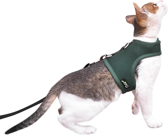 Enhanced Kitty Harness and Leash for Walking Escape Proof Breathable Mesh Fabric Responsible