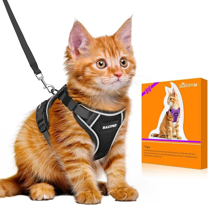 Consistent Halypet Cat Harness and Leash Set Genuine