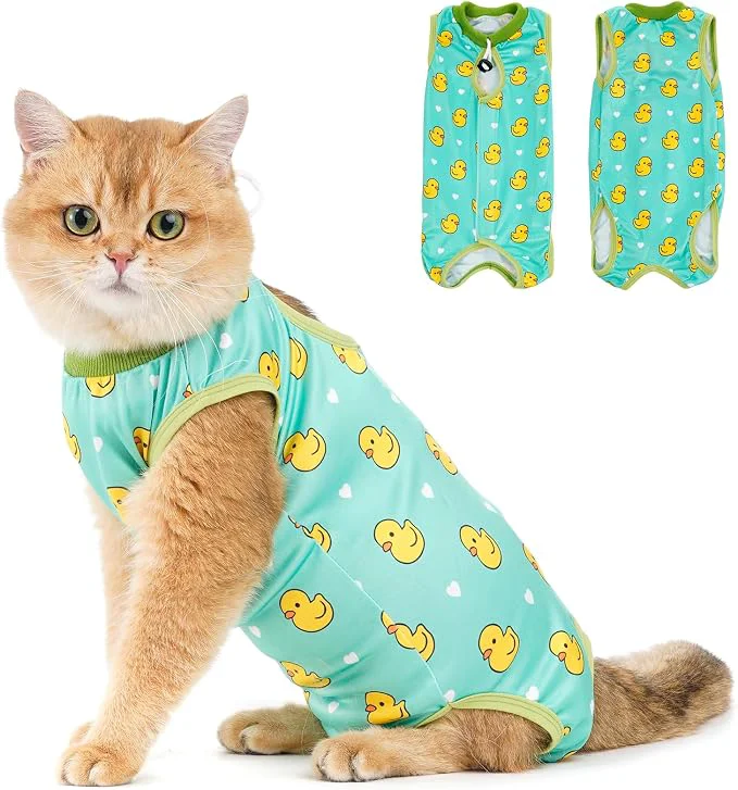 Prestigious Avont Cat Recovery Suit Powerful