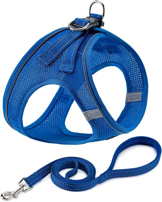 Authentic BOOMIBOO Dog Harness with Leash Set No Pull Adjustable Reflective Step-in World-Class