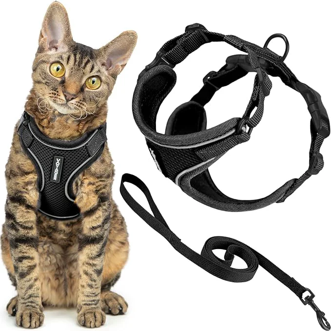 Solid Voyager Escape-Proof Step-in Lock Cat Harness 5ft Neoprene-Handle Leash Set Carefully Designed