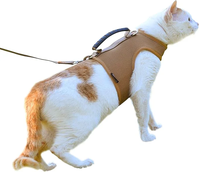 Convenient Cat Harness and Leash for Walking Escape Proof Breathable Mesh Fabric Solid Green