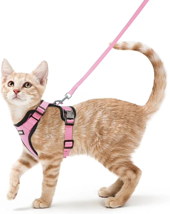 Efficient rabbitgoo Cat Harness and Leash Modern